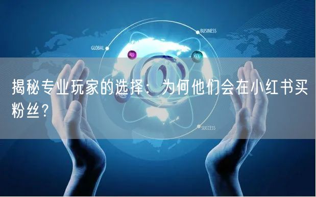 揭秘专业玩家的选择：为何他们会在小红书买粉丝？