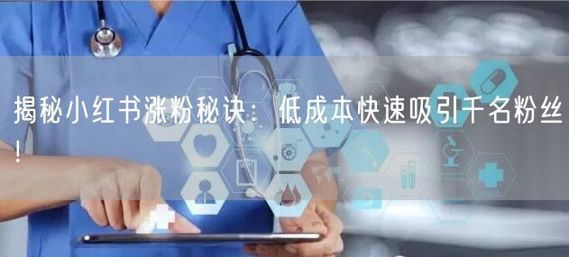 揭秘小红书涨粉秘诀：低成本快速吸引千名粉丝！