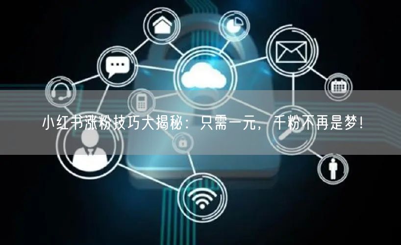小红书涨粉技巧大揭秘：只需一元，千粉不再是梦！