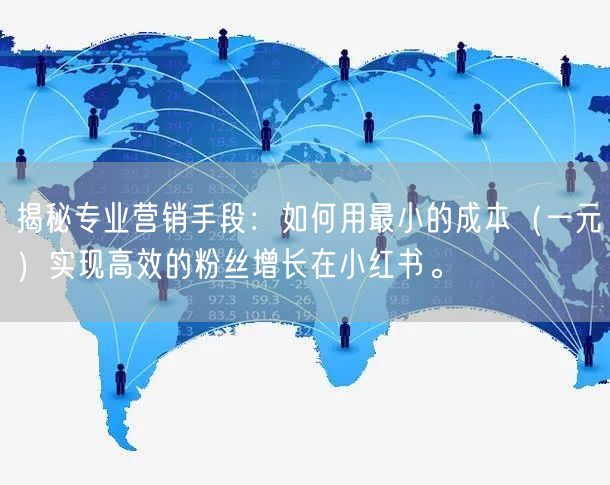 揭秘专业营销手段：如何用最小的成本（一元）实现高效的粉丝增长在小红书。