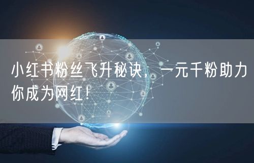 小红书粉丝飞升秘诀，一元千粉助力你成为网红！