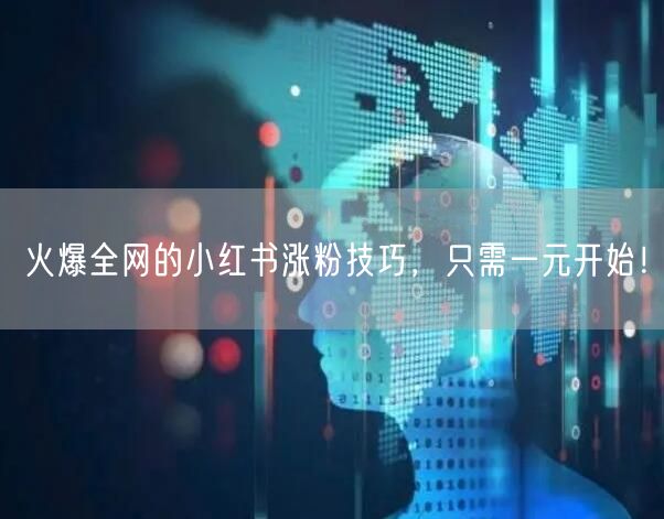 火爆全网的小红书涨粉技巧，只需一元开始！