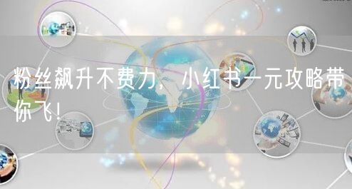 粉丝飙升不费力，小红书一元攻略带你飞！