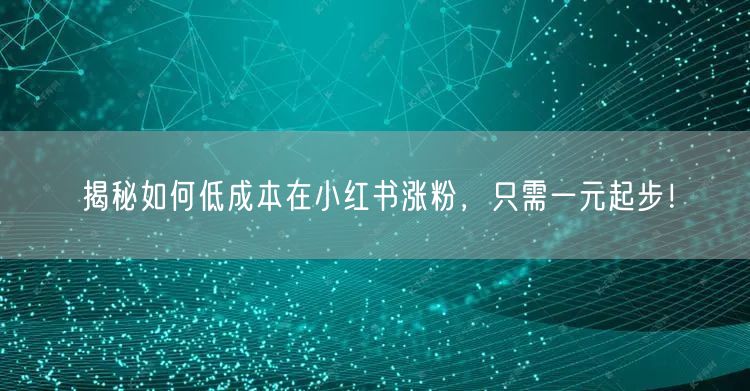 揭秘如何低成本在小红书涨粉，只需一元起步！