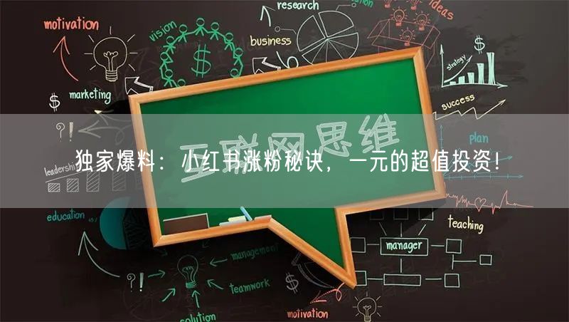 独家爆料：小红书涨粉秘诀，一元的超值投资！
