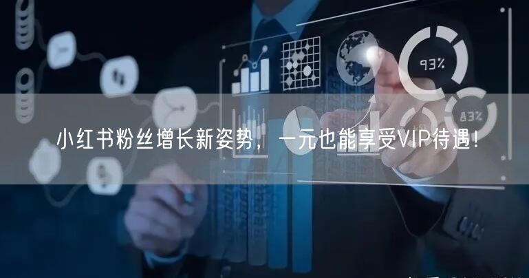 小红书粉丝增长新姿势，一元也能享受VIP待遇！