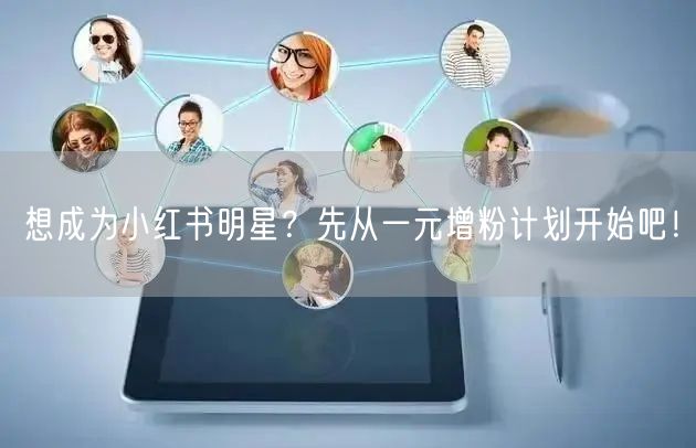 想成为小红书明星？先从一元增粉计划开始吧！