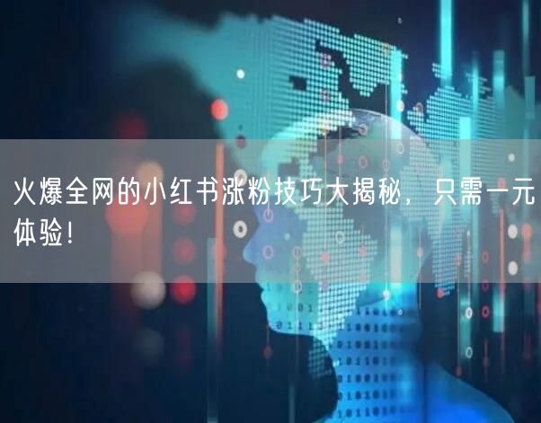 火爆全网的小红书涨粉技巧大揭秘，只需一元体验！