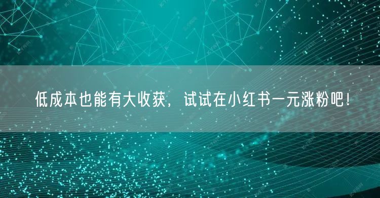 低成本也能有大收获，试试在小红书一元涨粉吧！