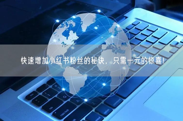 快速增加小红书粉丝的秘诀，只需一元的惊喜！