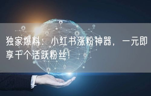 独家爆料：小红书涨粉神器，一元即享千个活跃粉丝！