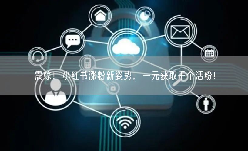 震惊！小红书涨粉新姿势，一元获取千个活粉！