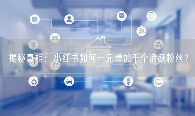 揭秘真相：小红书如何一元增加千个活跃粉丝？