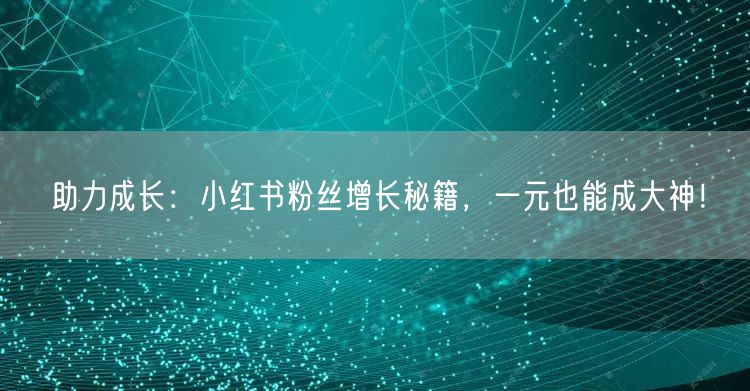 助力成长：小红书粉丝增长秘籍，一元也能成大神！