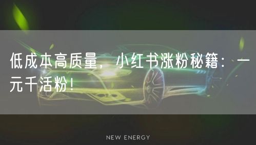 低成本高质量，小红书涨粉秘籍：一元千活粉！