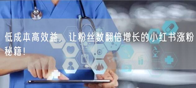 低成本高效益，让粉丝数翻倍增长的小红书涨粉秘籍！
