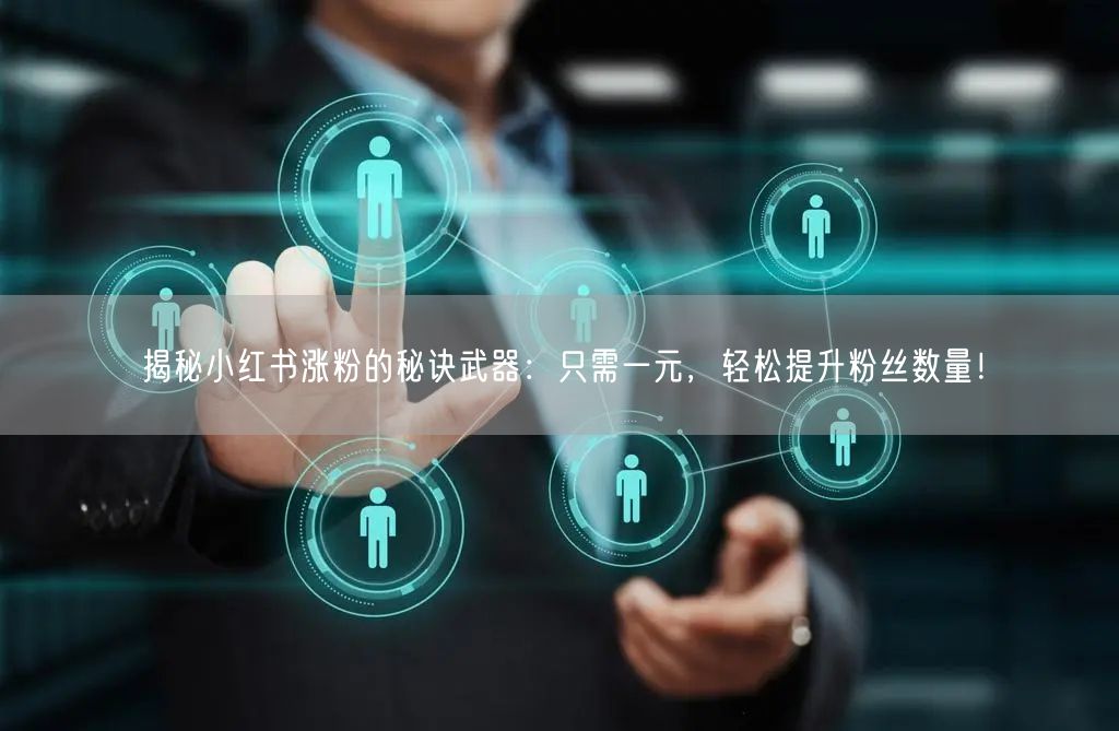 揭秘小红书涨粉的秘诀武器：只需一元，轻松提升粉丝数量！