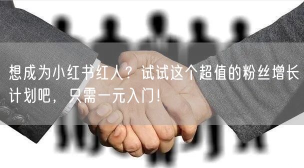 想成为小红书红人？试试这个超值的粉丝增长计划吧，只需一元入门！