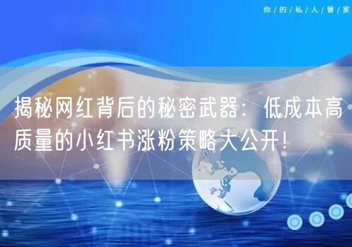 揭秘网红背后的秘密武器：低成本高质量的小红书涨粉策略大公开！
