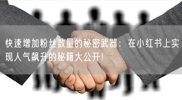 快速增加粉丝数量的秘密武器：在小红书上实现人气飙升的秘籍大公开！