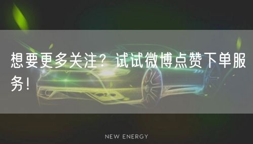 想要更多关注？试试微博点赞下单服务！