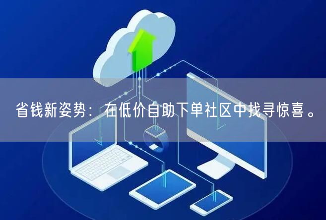 省钱新姿势：在低价自助下单社区中找寻惊喜。