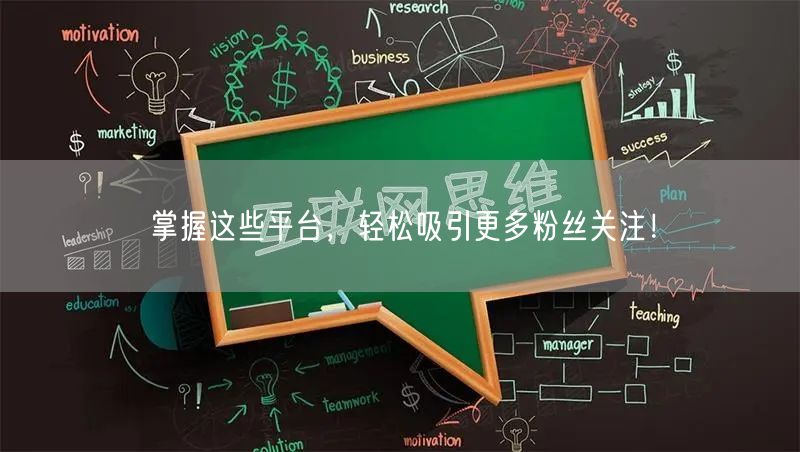 掌握这些平台，轻松吸引更多粉丝关注！