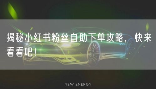 揭秘小红书粉丝自助下单攻略,快来看看吧!