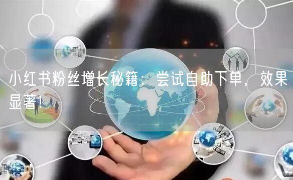 小红书粉丝增长秘籍：尝试自助下单，效果显著！