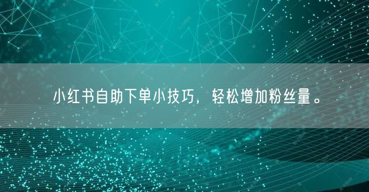 小红书自助下单小技巧，轻松增加粉丝量。