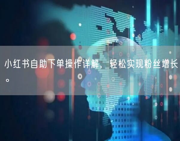 小红书自助下单操作详解，轻松实现粉丝增长。