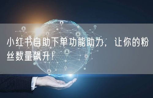 小红书自助下单功能助力，让你的粉丝数量飙升！