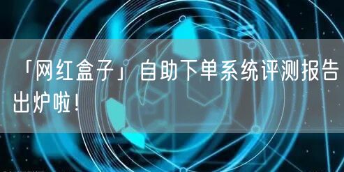 「网红盒子」自助下单系统评测报告出炉啦！