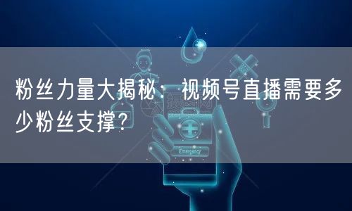 粉丝力量大揭秘:视频号直播需要多少粉丝支撑?