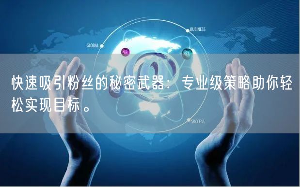 快速吸引粉丝的秘密武器：专业级策略助你轻松实现目标。