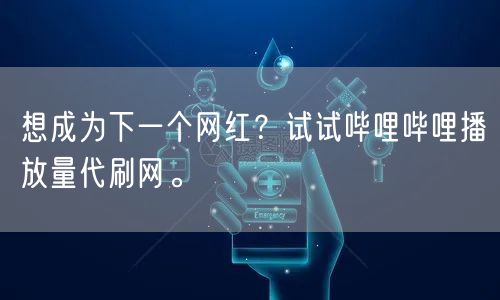 想成为下一个网红？试试哔哩哔哩播放量代刷网。