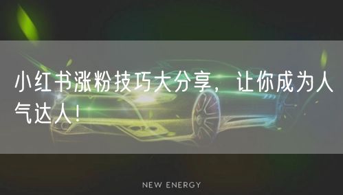 小红书涨粉技巧大分享，让你成为人气达人！