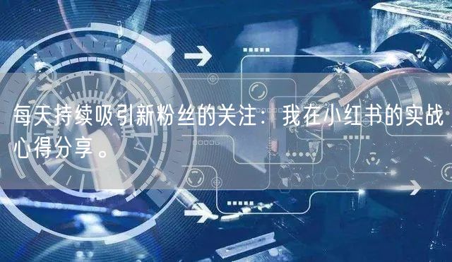 每天持续吸引新粉丝的关注：我在小红书的实战心得分享。