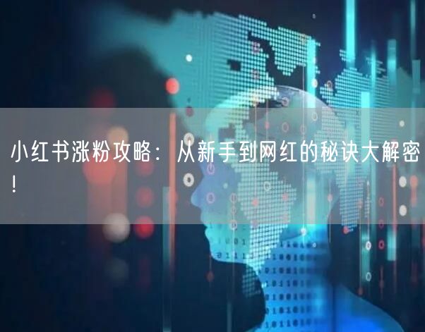 小红书涨粉攻略：从新手到网红的秘诀大解密！