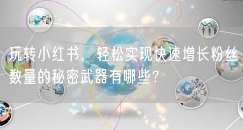 玩转小红书，轻松实现快速增长粉丝数量的秘密武器有哪些？