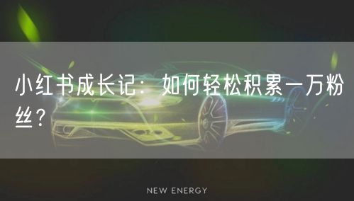 小红书成长记：如何轻松积累一万粉丝？