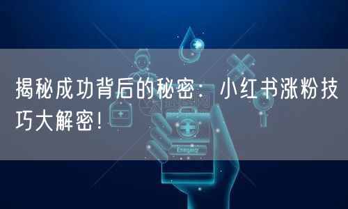 揭秘成功背后的秘密：小红书涨粉技巧大解密！