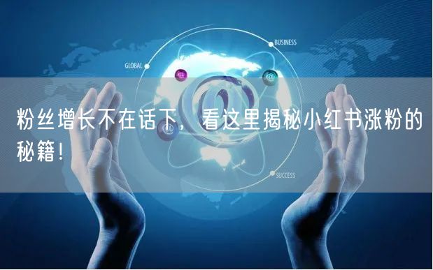 粉丝增长不在话下，看这里揭秘小红书涨粉的秘籍！