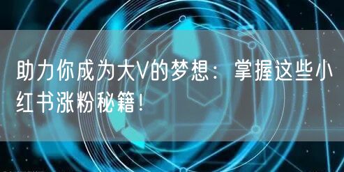 助力你成为大V的梦想：掌握这些小红书涨粉秘籍！