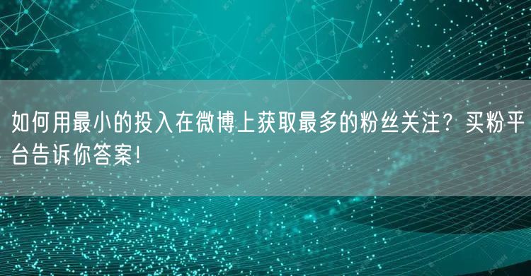 如何用最小的投入在微博上获取最多的粉丝关注？买粉平台告诉你答案！