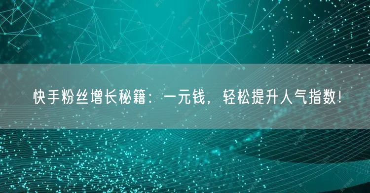 快手粉丝增长秘籍：一元钱，轻松提升人气指数！