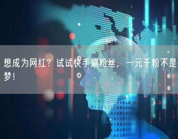 想成为网红？试试快手刷粉丝，一元千粉不是梦！