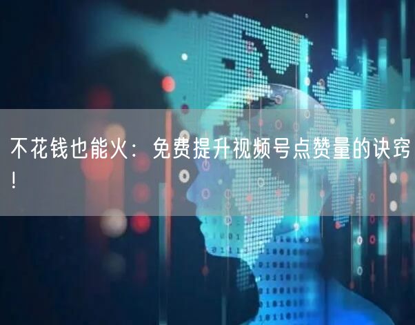 不花钱也能火：免费提升视频号点赞量的诀窍！