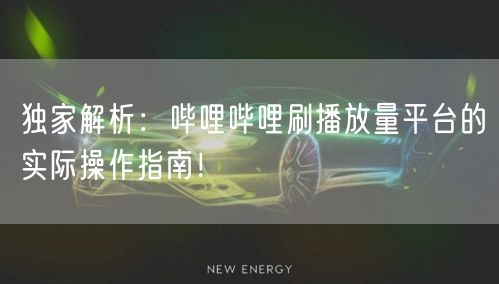 独家解析：哔哩哔哩刷播放量平台的实际操作指南！
