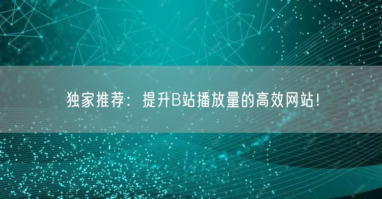 独家推荐：提升B站播放量的高效网站！